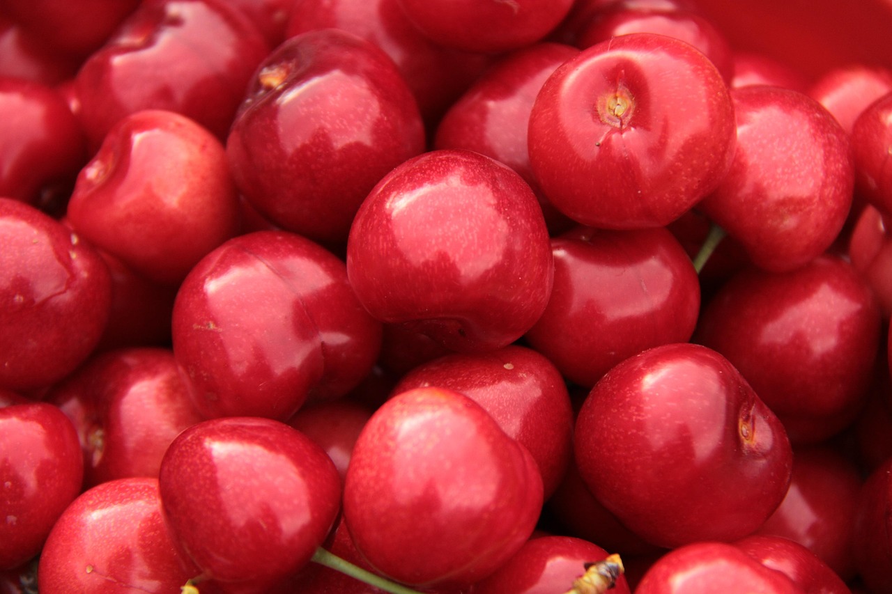 Fresh ripe cherries in a fruit bowl