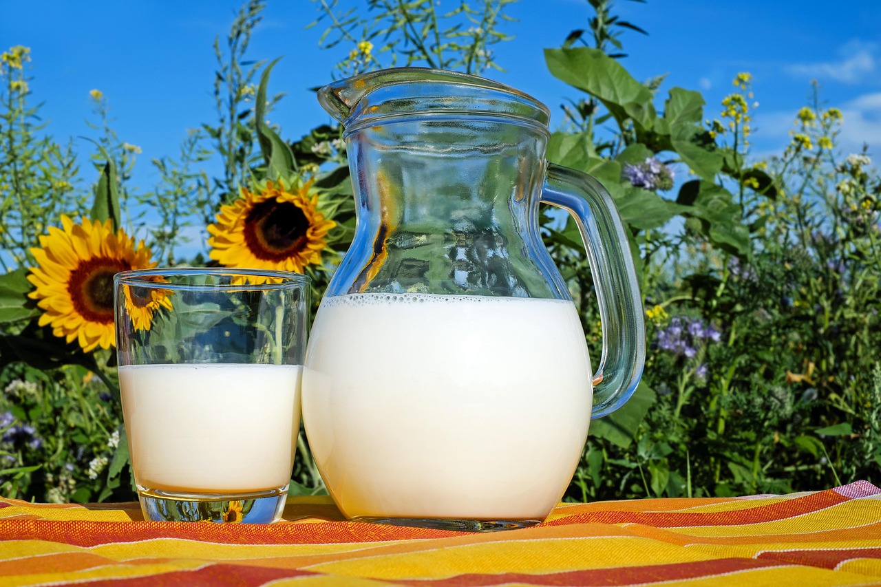 Glass of low fat white milk